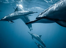 万博体育-KAIYUNAPP:解锁高效生活的智能管家